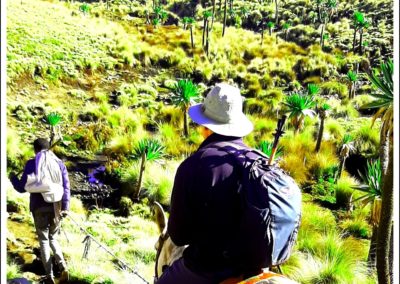 Simien Mountains National Park Trek for 3 Days