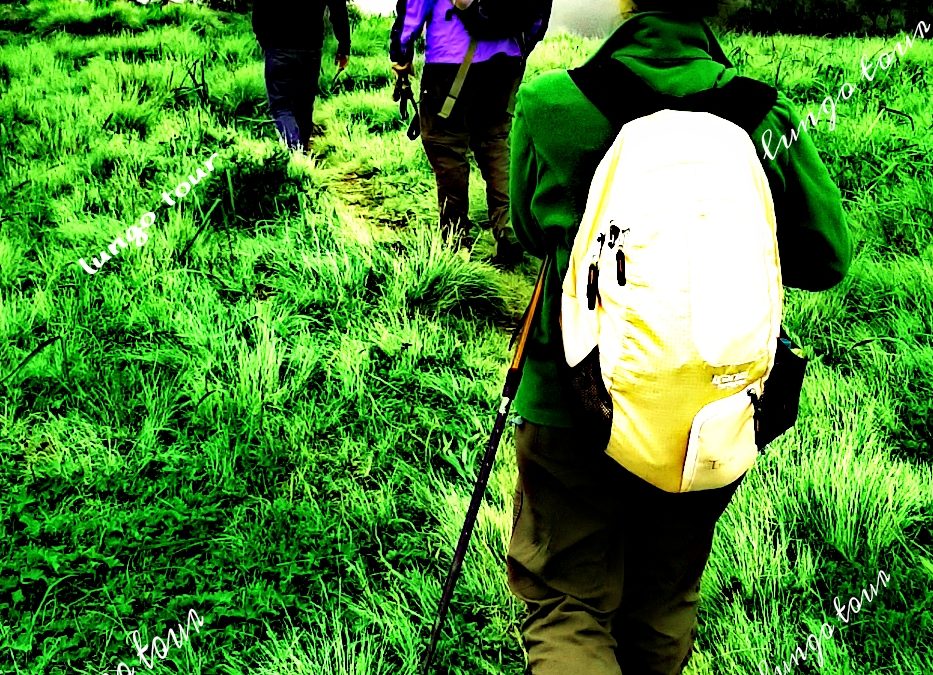 20 day-itenerary trecking and hiking in Ethiopia|Lungo local tour Ethiopia